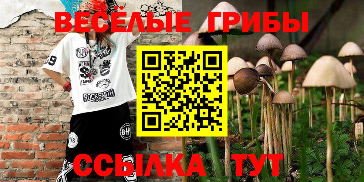 Полысаево  Псилоцибиновые грибы MAGIC MUSHROOMS  Вход с VPN 